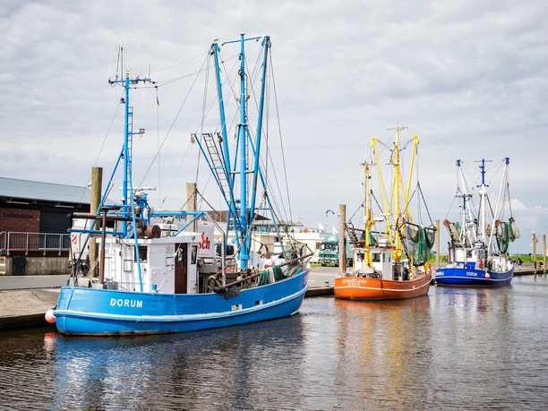 Kutterhafen in Dorum-Neufeld