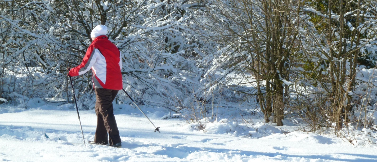 Wiehnbachloipe in Hahnenklee