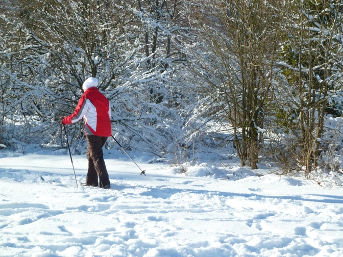 Wiehnbachloipe in Hahnenklee