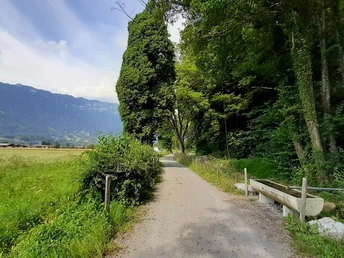 Chemin au bord de la forêt près de Bönigen