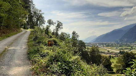 Chemin forestier au-dessus de Bönigen avec vue sur le Bödeli