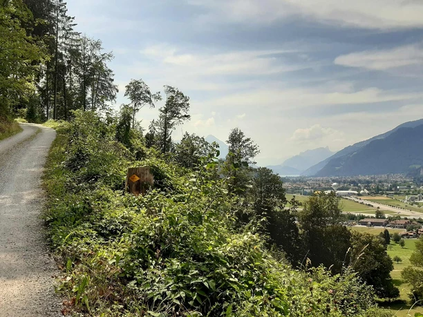 Forstweg oberhalb Bönigen mit Blick auf das Bödeli
