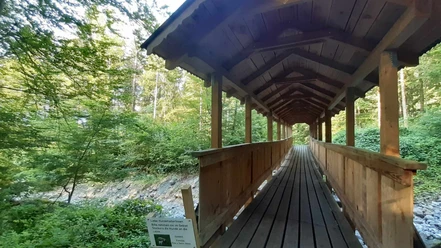 Holzbrücke über den Houetebach bei Bönigen