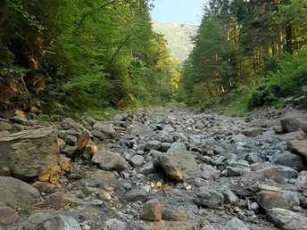 Lit asséché du ruisseau Houetebach