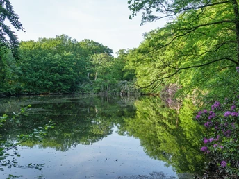 Ellernteich im Schlosspark