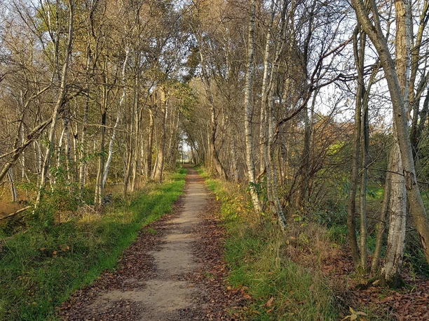 Neuer Rad- und Fußweg durch das Dänikhorster Moor