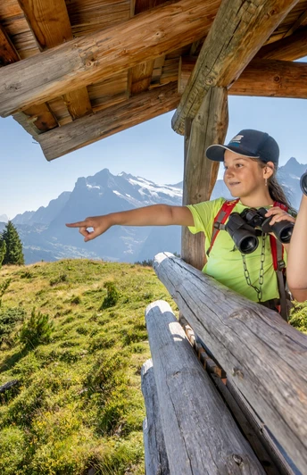 Lieselotteweg Männlichen