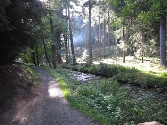 Kalte Bode (Okt. 2012)