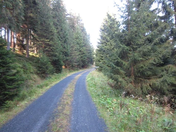 Toter Weg (Okt. 2012)