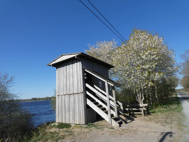 Aussichtsturm am Flögelner See