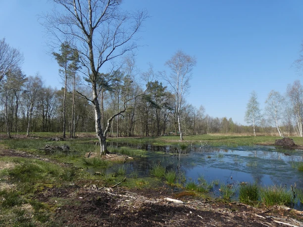 Landschaft im Ahlenmoor