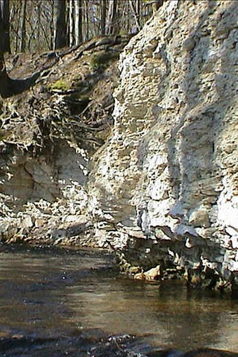 Karstgestein an der Ecker im Schimmerwald