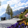 Seepromenade von Brienz mit Blumen