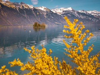 Schneckeninsel Iseltwald