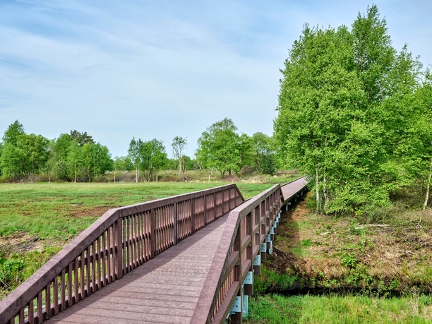 Wanderwege im Ahlenmoor