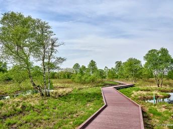 Moorerlebnispfad im Ahlenmoor