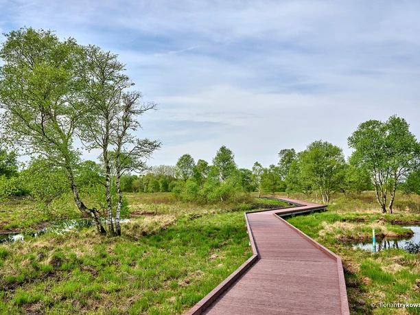 Moorerlebnispfad im Ahlenmoor