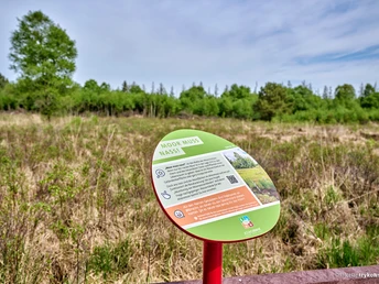 Infotafeln im Ahlenmoor