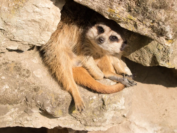 Tiergarten Halberstadt