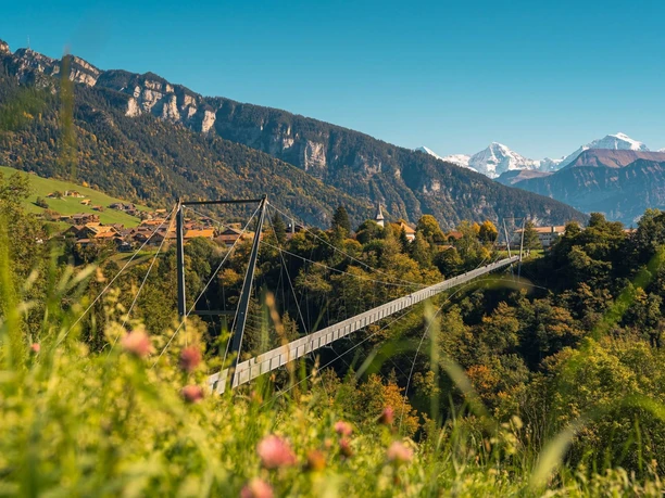 Suspension bridge near Sigriswil