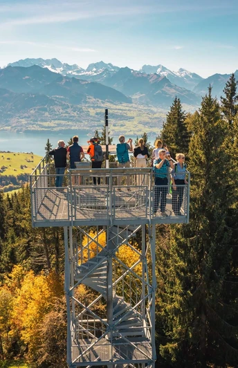 Aussicht vom Blueme Tour auf den Thunersee, den Niesen und die Berner Alpen