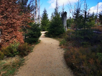 Wasserwanderweg Oderteich