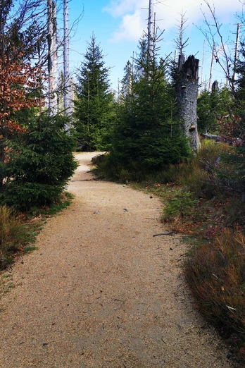 Wasserwanderweg Oderteich