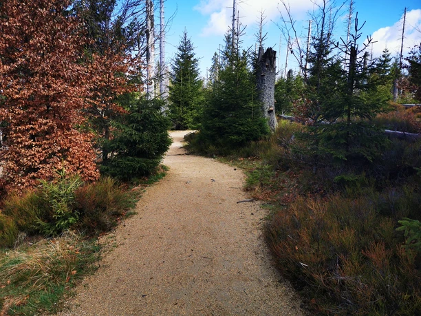 Wasserwanderweg Oderteich