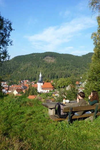 Entlang der Tour Lautenthaler Kunstgraben