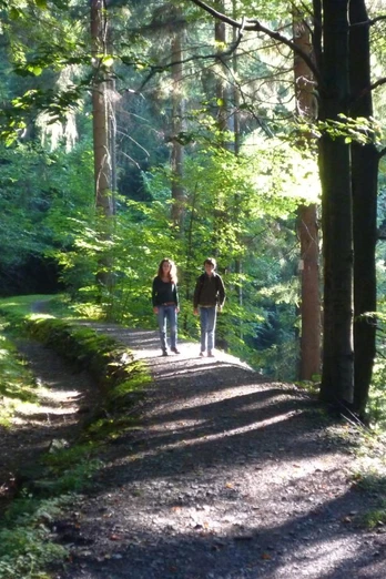 Entlang der Tour Lautenthaler Kunstgraben