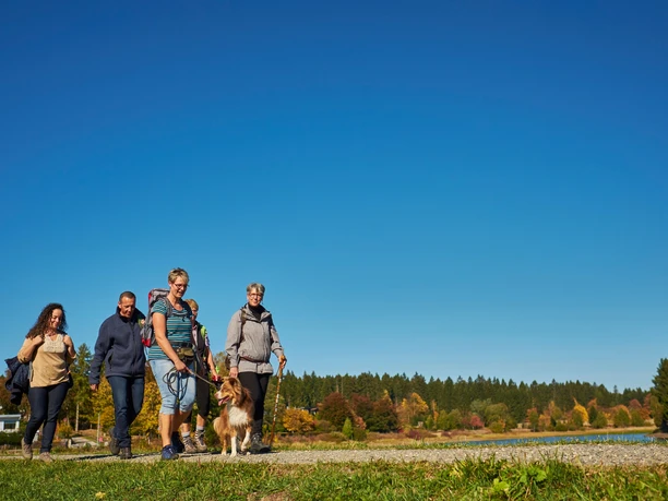 Wandern zu den Buntenböcker Teichen