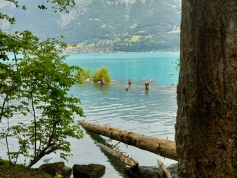 Brienzersee - Weg zur Bottenbalmbrücke