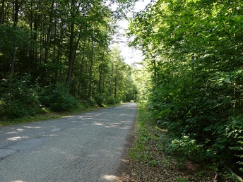 Path / Access road to Bremer Teich
