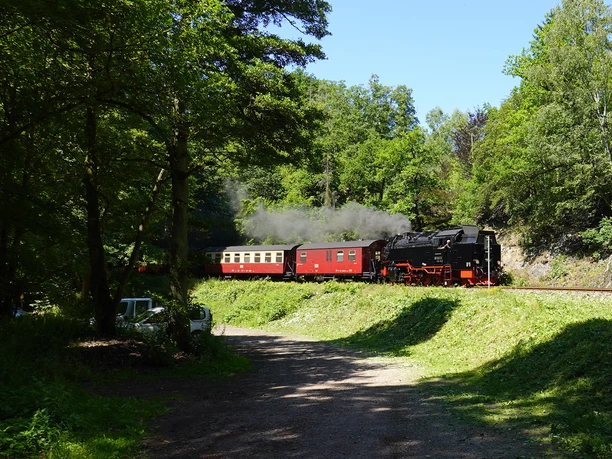 Zug der HSB nahe dem Haltepunkt Drahtzug