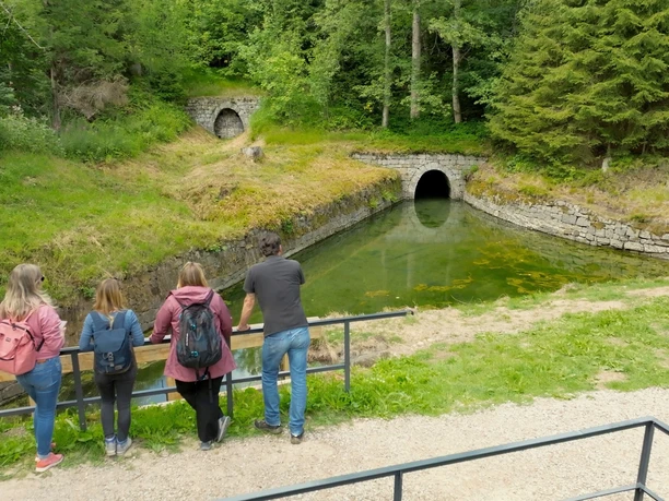 Hutthaler Widerwaage