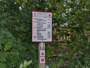 Schilderbaum am Wasserwerk / Brühlstraße