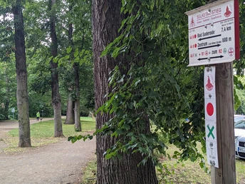 Schilderbaum im Brühl vis-á-vis eines alten Grenzsteines