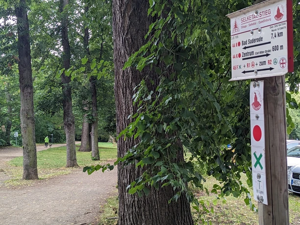 Schilderbaum im Brühl vis-á-vis eines alten Grenzsteines