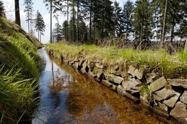Morgenbrodtsthaler Graben