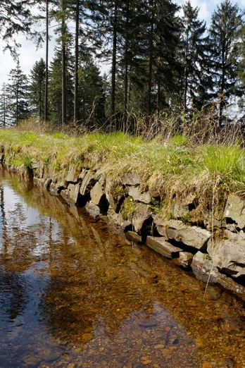 Morgenbrodtsthaler Graben