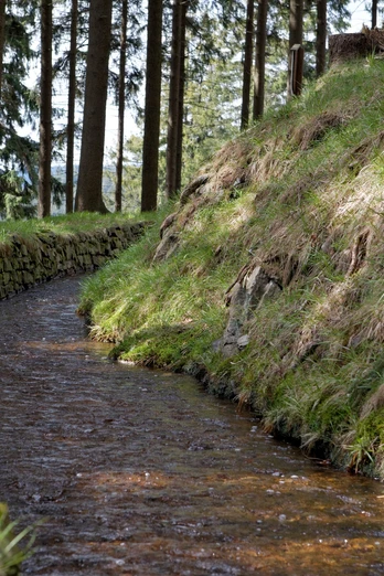 Morgenbrodtsthaler Graben