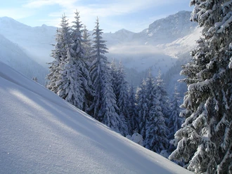 Grimmialp Trail