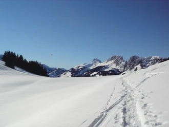 Jaunpass Trail