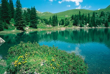 Golitschepass