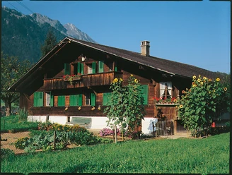Randonnée vue
