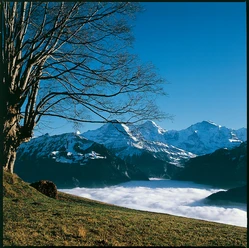 Sur la terrasse ensoleillée