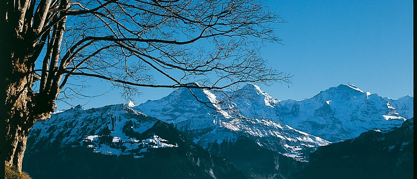 Auf der Sonnenterrasse