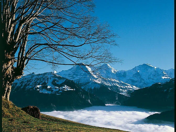 Auf der Sonnenterrasse