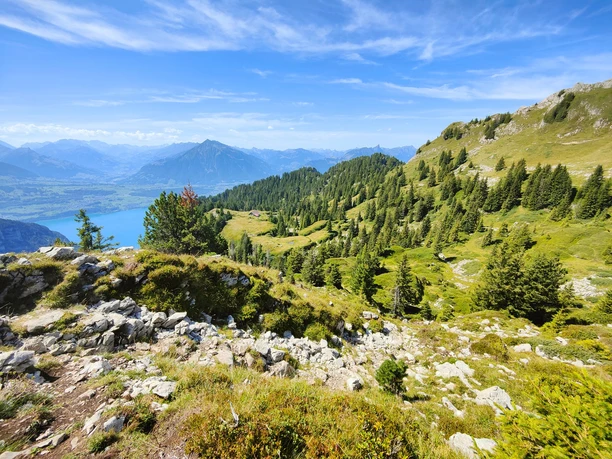 Oberbärgli: Einzigartige Aussicht auf die Wälder, den Thunersee und den Niesen. Oberbärgli: Einzigartige Aussicht auf die Wälder, den Thunersee und den Niesen.