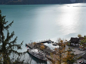 Vue depuis le point de vue Gippi sur les Schiffländet et le lac de Brienz